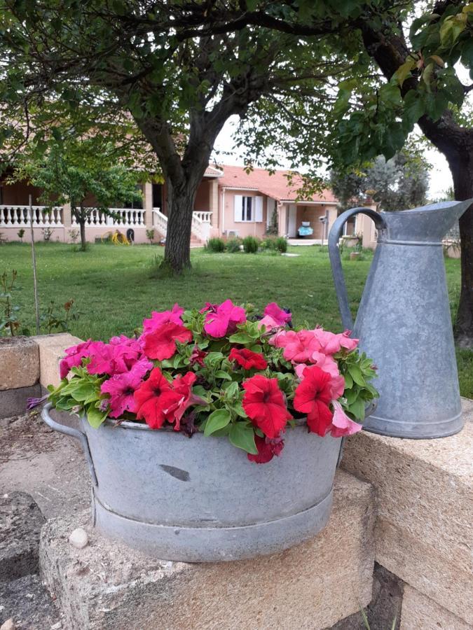 B&B et Gite d'ayran Saint-Quentin-la-Poterie Extérieur photo